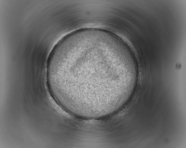 X0000114390992200911061510