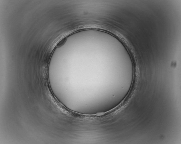 X0000114390993200911061510