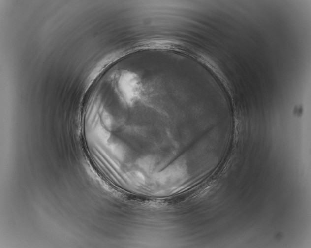 X0000114390994200911061510
