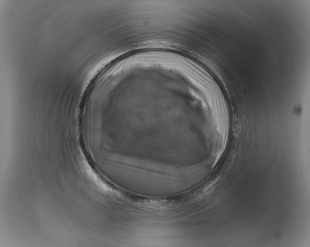 X0000114390995200911061510