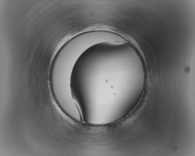 X0000114390997200911061510