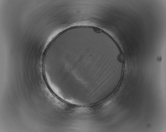 X0000114390998200911061510