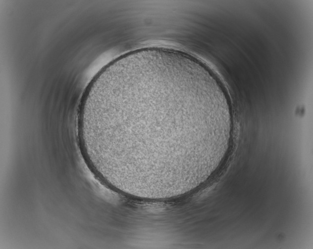X0000114390999200911061510