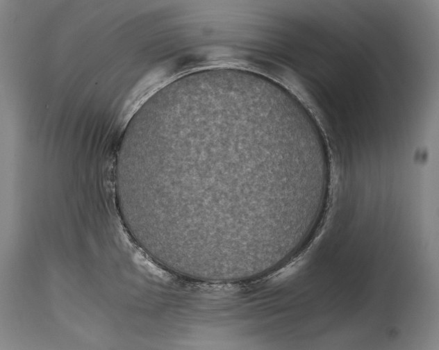 X0000114391001200911061510