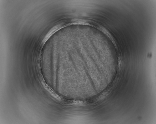 X0000114391002200911061510