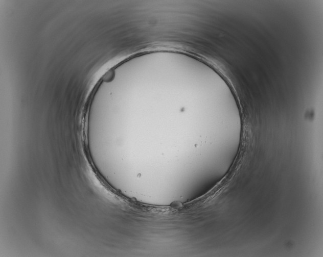 X0000114391003200911061510