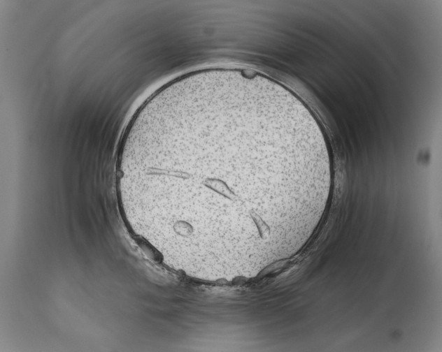 X0000114391004200911061510