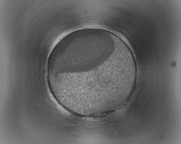 X0000114391005200911061510