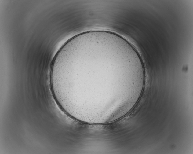 X0000114391006200911061510
