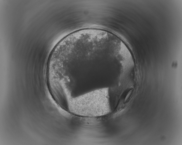 X0000114391007200911061510