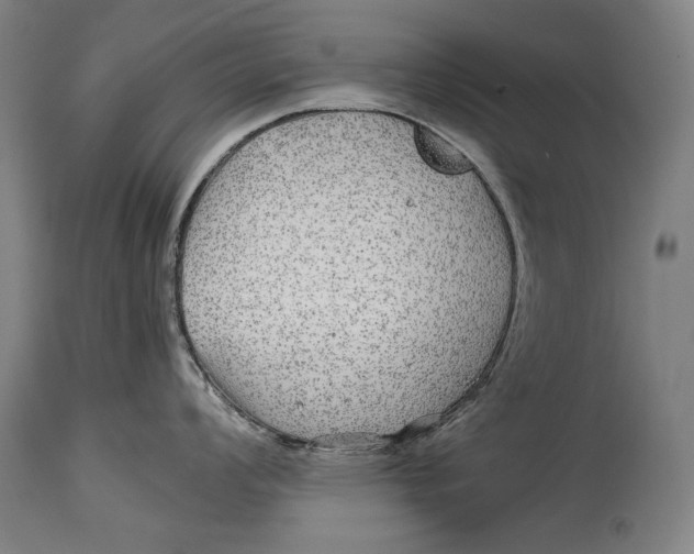 X0000114391008200911061510