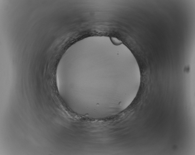 X0000114391009200911061510