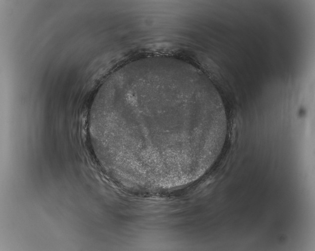 X0000114391010200911061510