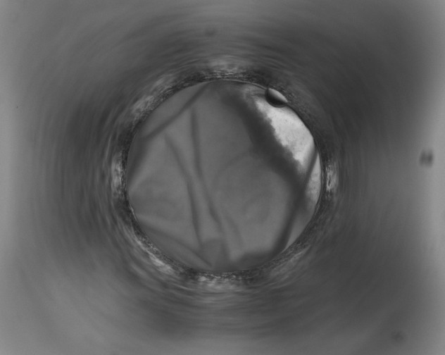 X0000114391011200911061510