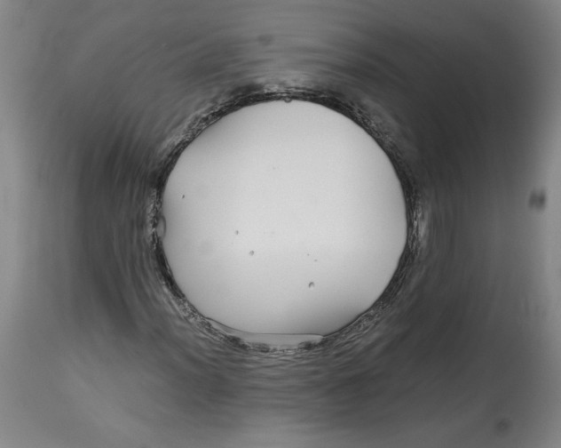 X0000114391012200911061510