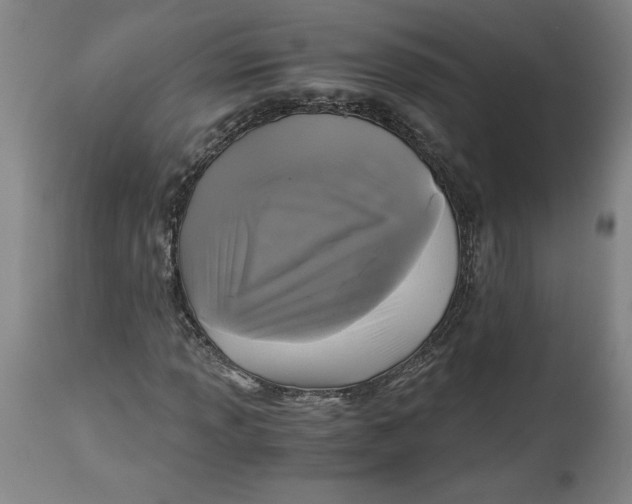 X0000114391013200911061510