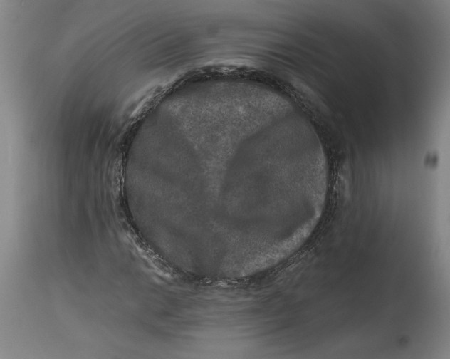 X0000114391014200911061510
