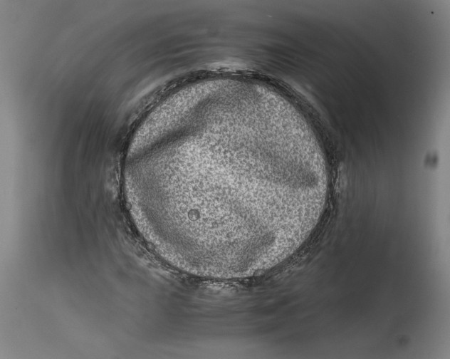 X0000114391015200911061510