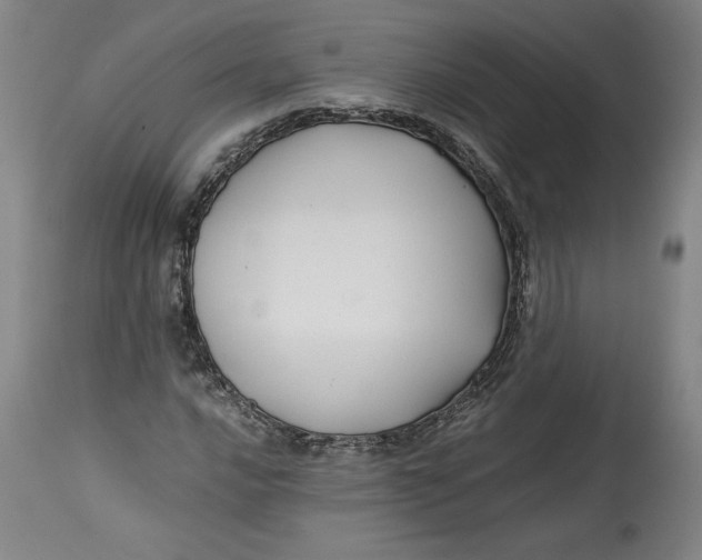 X0000114391016200911061510