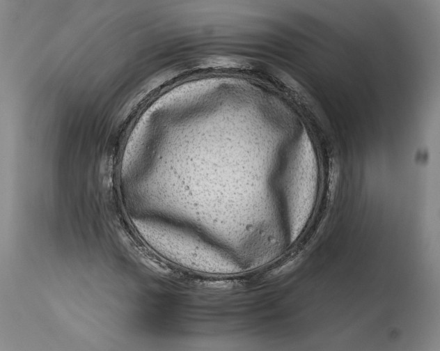 X0000114391017200911061510