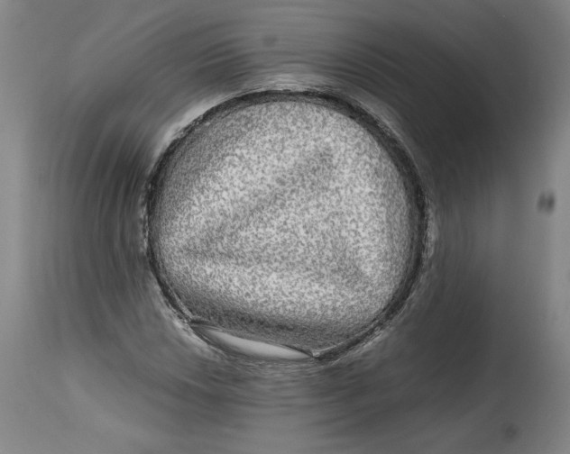 X0000114391018200911061510