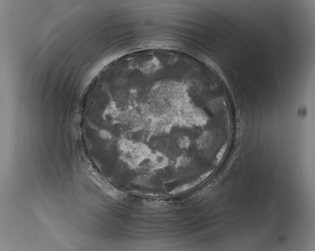 X0000114391019200911061510