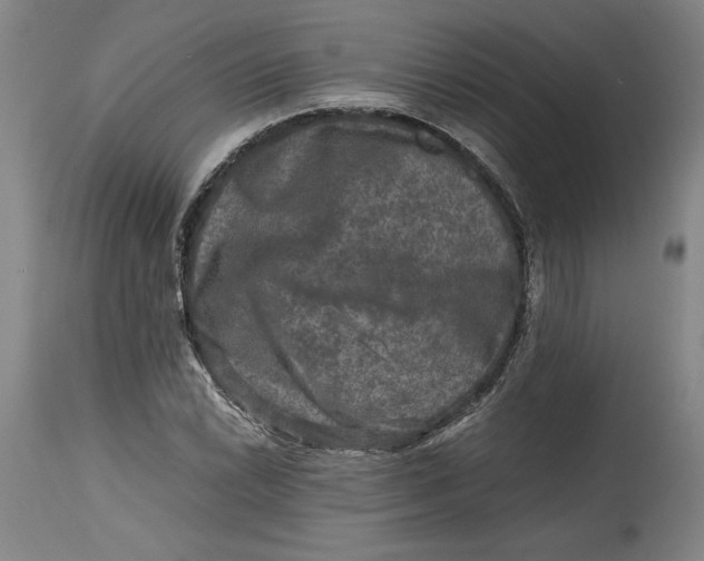 X0000114391022200911061510