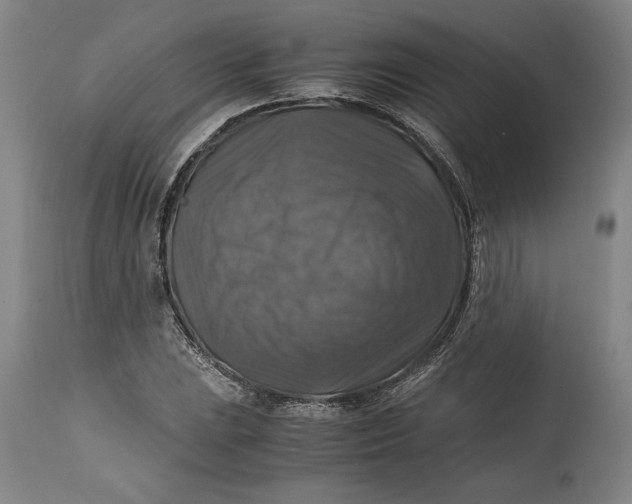 X0000114391023200911061510