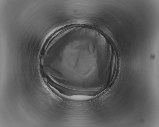 X0000114391024200911061510