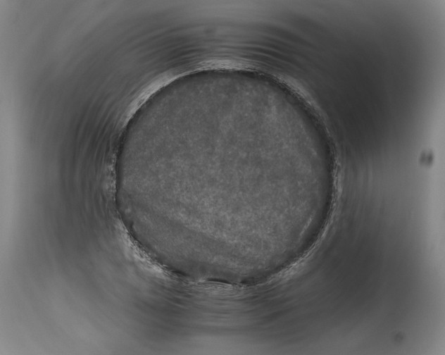 X0000114391025200911061510