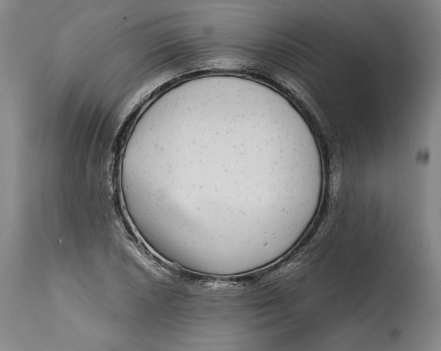 X0000114391026200911061510