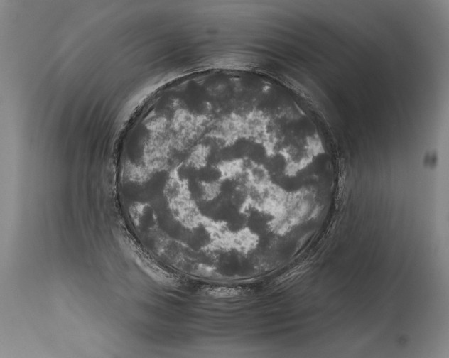 X0000114391027200911061510