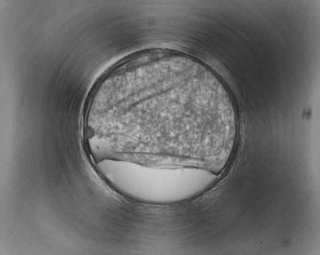 X0000114391028200911061510