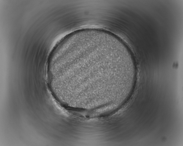 X0000114391030200911061510