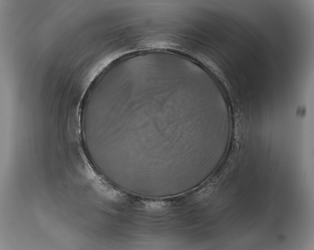 X0000114391031200911061510