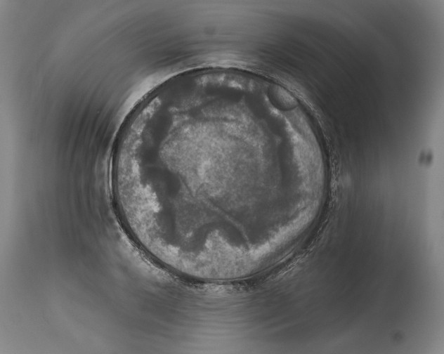 X0000114391032200911061510