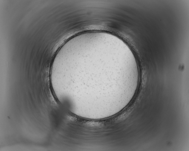 X0000114391033200911061510