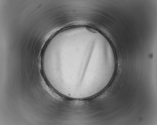X0000114391034200911061510
