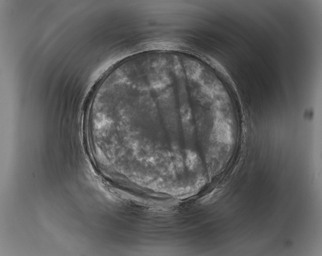 X0000114391035200911061510