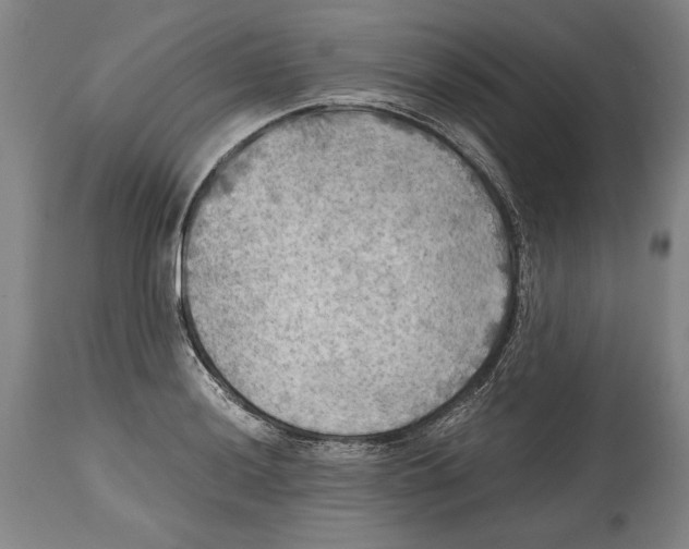 X0000114391036200911061510