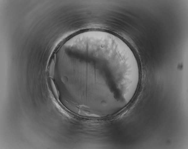 X0000114391037200911061510