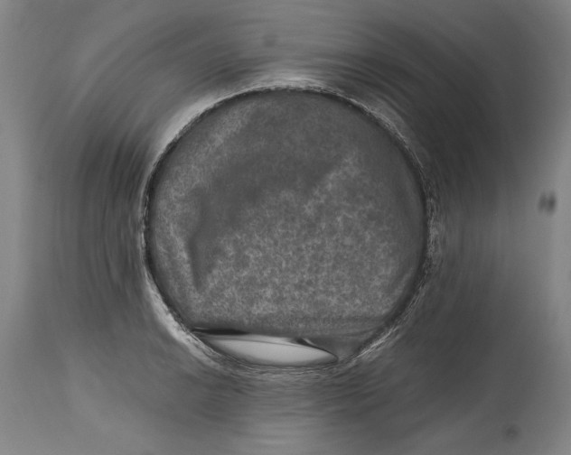 X0000114391038200911061510