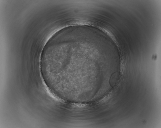 X0000114391039200911061510