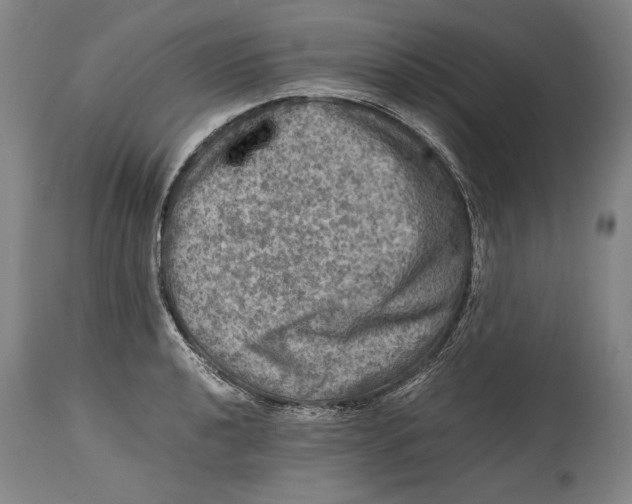 X0000114391040200911061510