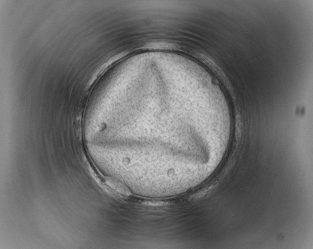 X0000114391041200911061510