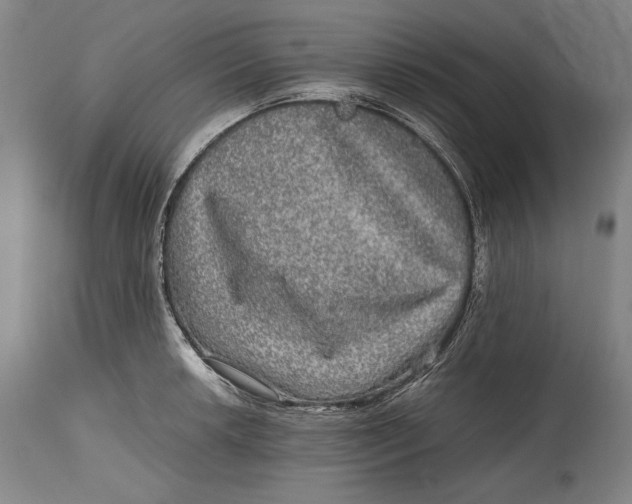 X0000114391042200911061510