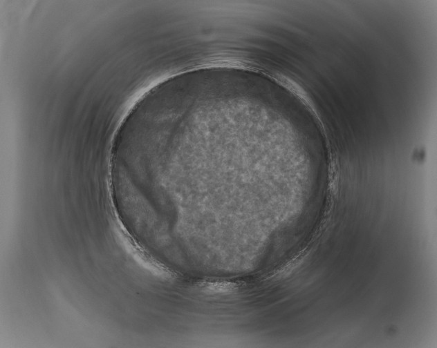 X0000114391043200911061510