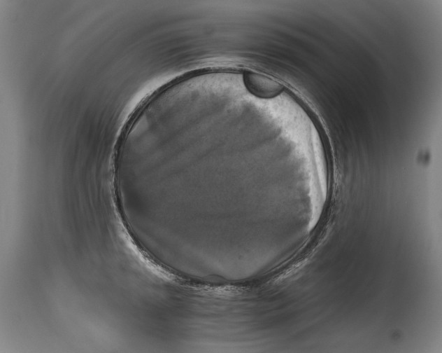 X0000114391045200911061510