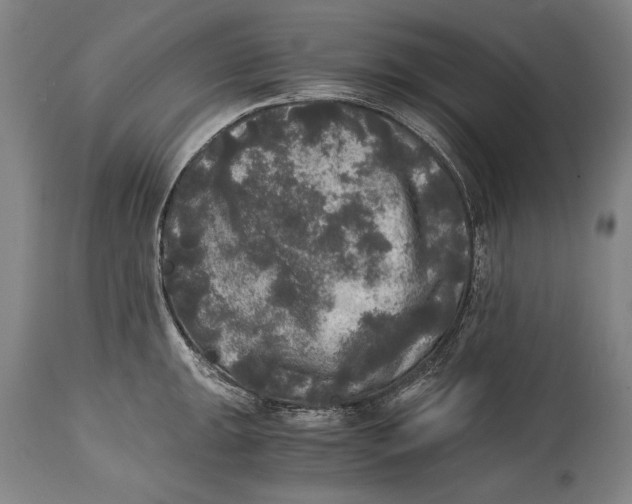 X0000114391047200911061510