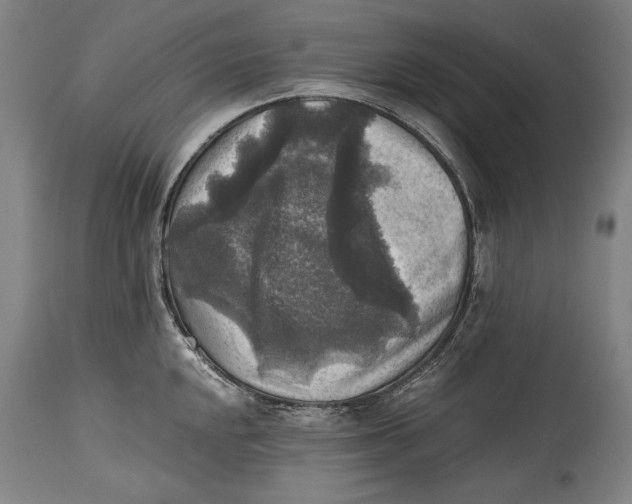 X0000114391048200911061510